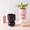 b-t-r multi product, handmade ceramic jar with donut tray, unique design, home decoration, high-quality product