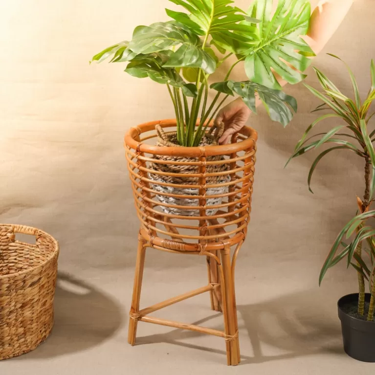 Thiết kế phòng khách bamboo plant decoration in living room Với cây tre trang trí