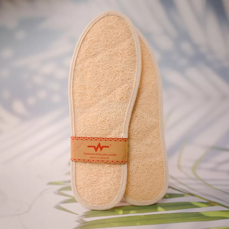 loofah shoe insoles, sweat absorbing shoe inserts, foot massage insoles, crack prevention insoles, natural pumpkin fiber shoe inserts