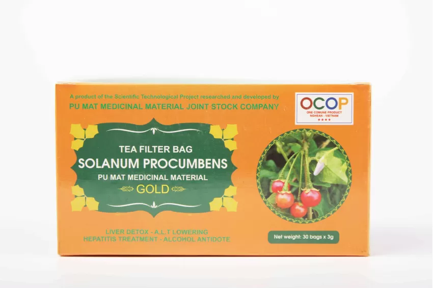 Solanum Procumbens Tea Bag