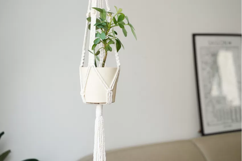 Macrame Plant Hanger, Easy to Clean, Machine Washable, High Durability, Decorative Accessory to Add Greenery to Space