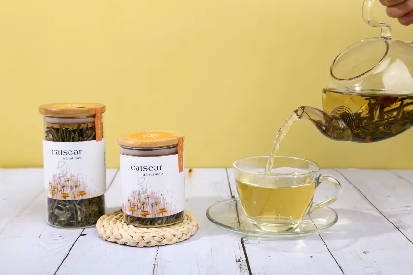 Catsear Tea, Natural Herbal Blend for Relaxation, Focus Enhancing and Anxiety Support, Ideal Health Gift