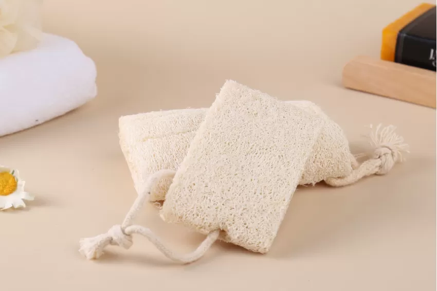 Natural Loofah Sponge