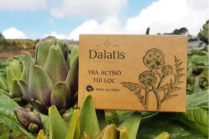 Artichoke Tea Filtered, Herbal Tea, Filtered Bag, Artichoke Tea, Organic Food, Healthy Food, Dalat Specialties, 100% Natural, No Preservatives