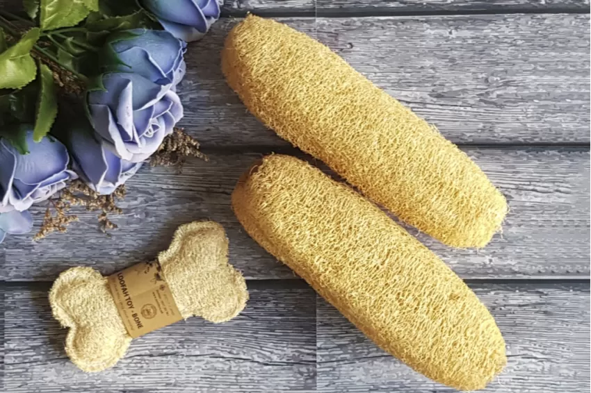 Bone Shape Loofah Dog Chew Toy