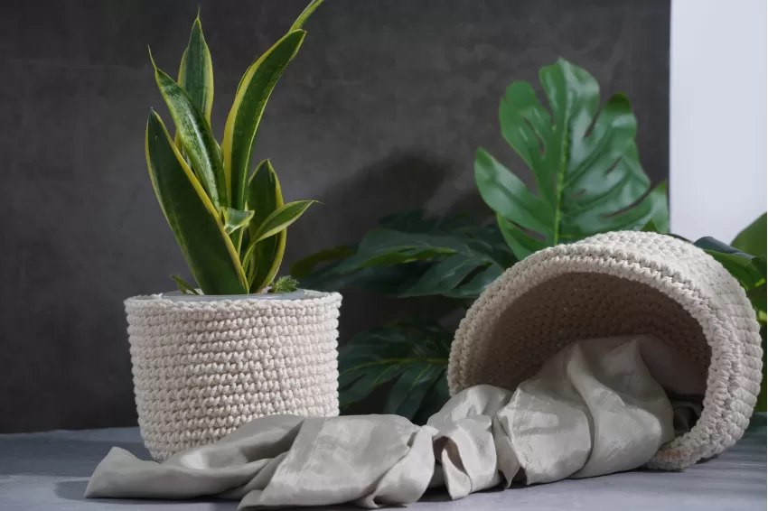 Giỏ đựng chậu cây, crochet pot for plant, decoration, đồ trang trí