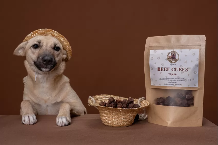 Pet food is made from safe ingredients so you can feel secure in taking care of your friend