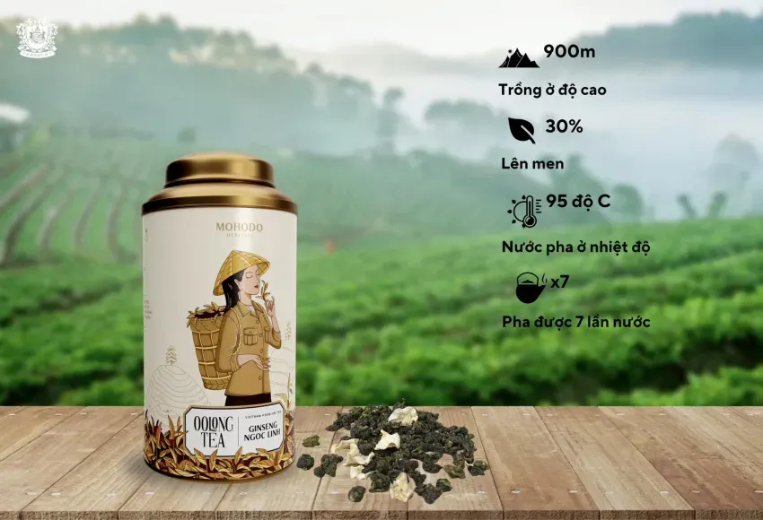 Premium Ngọc Linh Ginseng Oolong Tea, 100Gr, Finest Vietnamese Oolong Tea, Healthy And Refreshing Beverage, Exquisite Packaging, Tea Gift, Gift Ideas