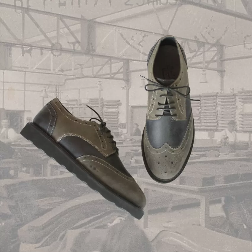 Spectator Derby Brogue Leather Shoes, Olive & Gray